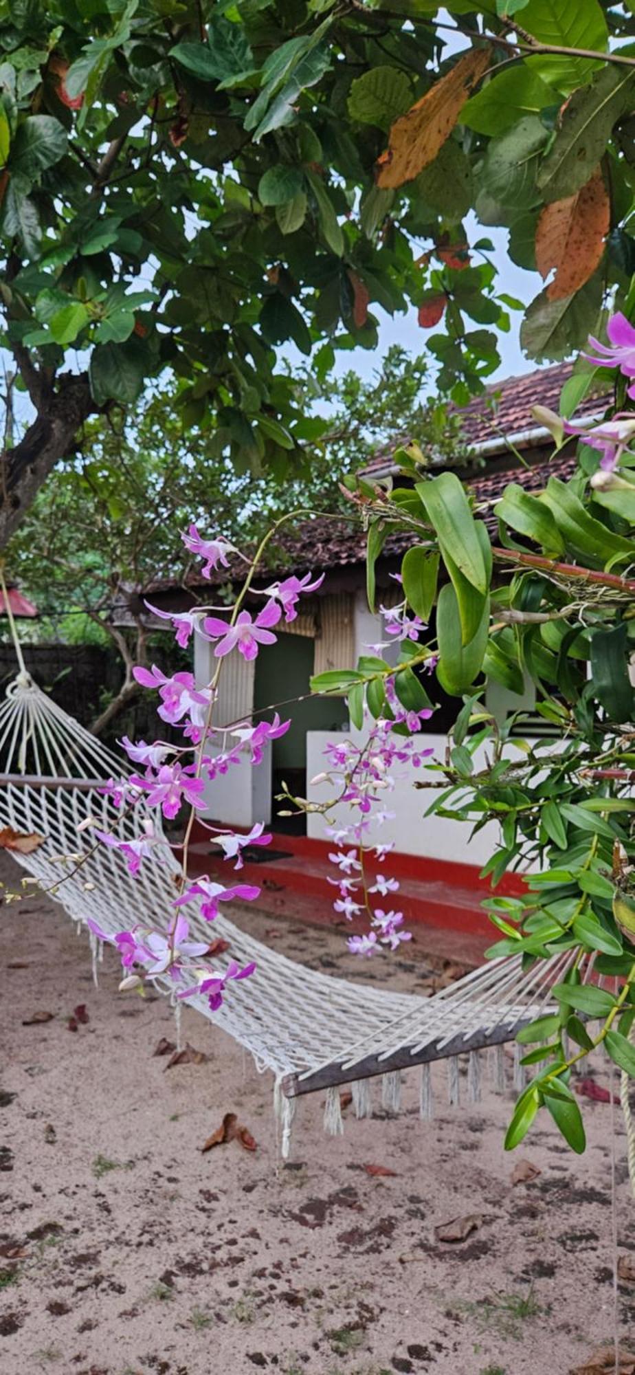 Angeo Beach House Alappuzha Екстер'єр фото